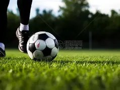 球場热议,战术革新,策略升级,﻿香港赛马,赛程安排,赛果查询,马匹资料,赛事动态