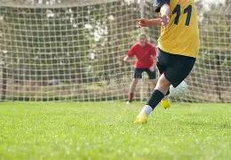 广州影豹,大胜广东蜀,地红,香港赛马,赛程安排,赛果查询,马匹资料,赛事动态