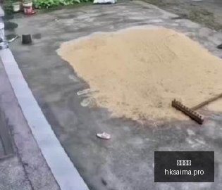 年度最佳门,将揭晓,大马丁荣耀,香港赛马,赛程安排,赛果查询,马匹资料,赛事动态