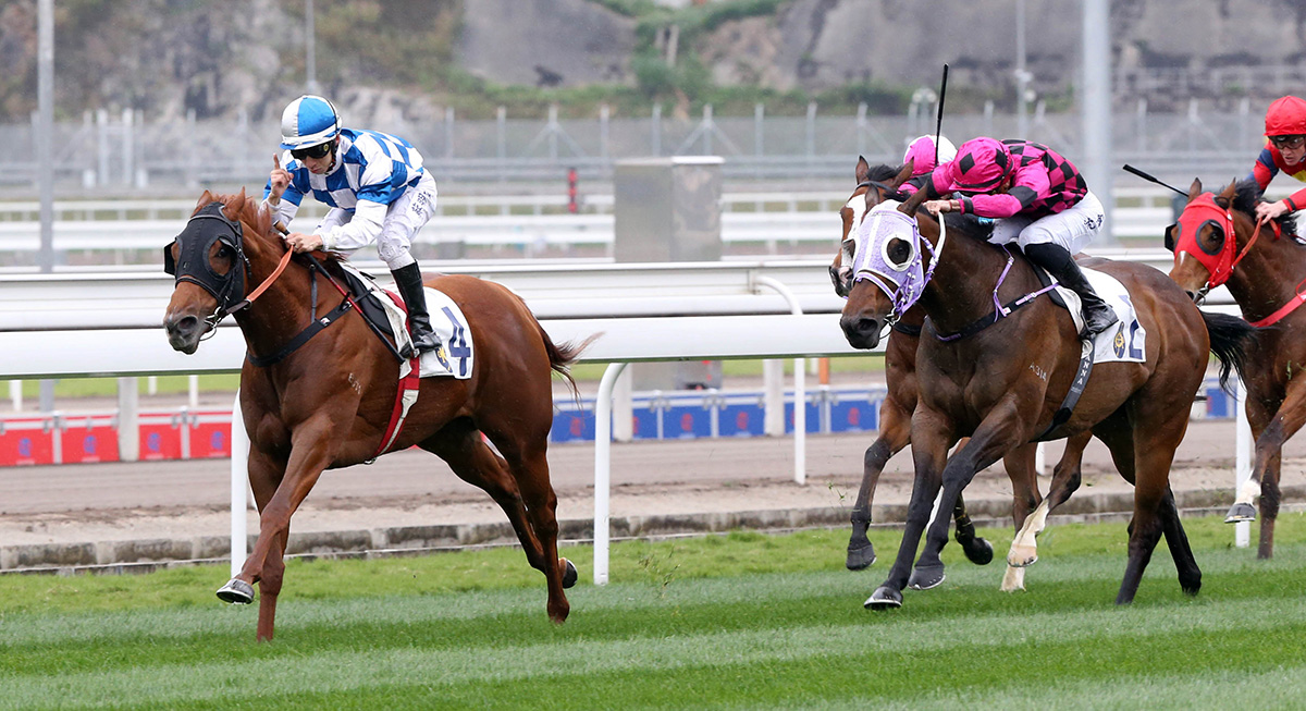 香港赛马会从化马场
