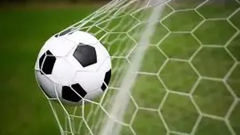 范尼下课风险高，职业发展存疑；阿莫林仍有证明自身价值机会。