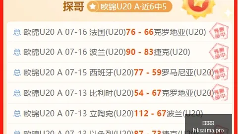 香港赛马 113254 4